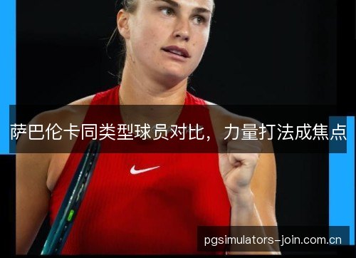 萨巴伦卡同类型球员对比，力量打法成焦点