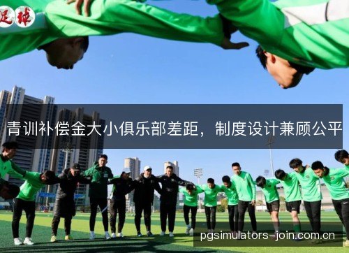 青训补偿金大小俱乐部差距,制度设计兼顾公平 青训补偿金大小俱乐部差距,制度设计兼顾公平
