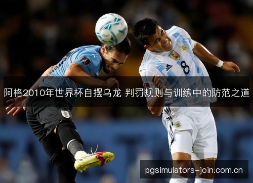 阿格2010年世界杯自摆乌龙 判罚规则与训练中的防范之道